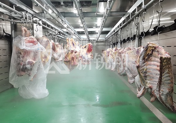 四分體牛羊肉解凍現(xiàn)場(chǎng)