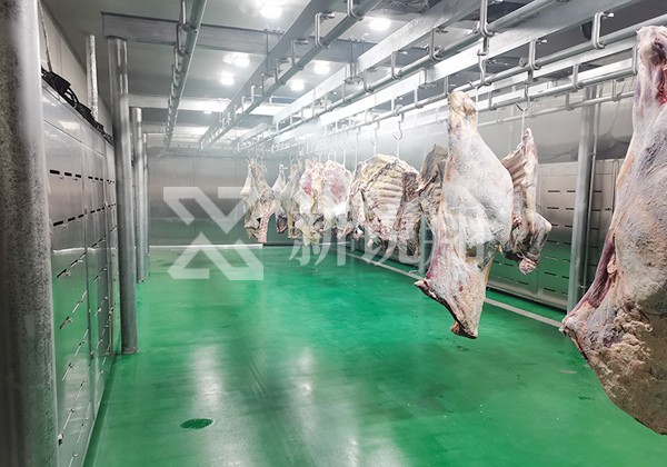 二分體豬肉解凍現(xiàn)場(chǎng)